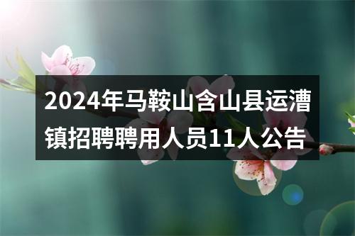 2024年马鞍山含山县运漕镇招聘聘用人员11人公告 图片