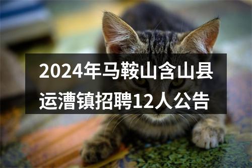 2024年马鞍山含山县运漕镇招聘12人公告 图片
