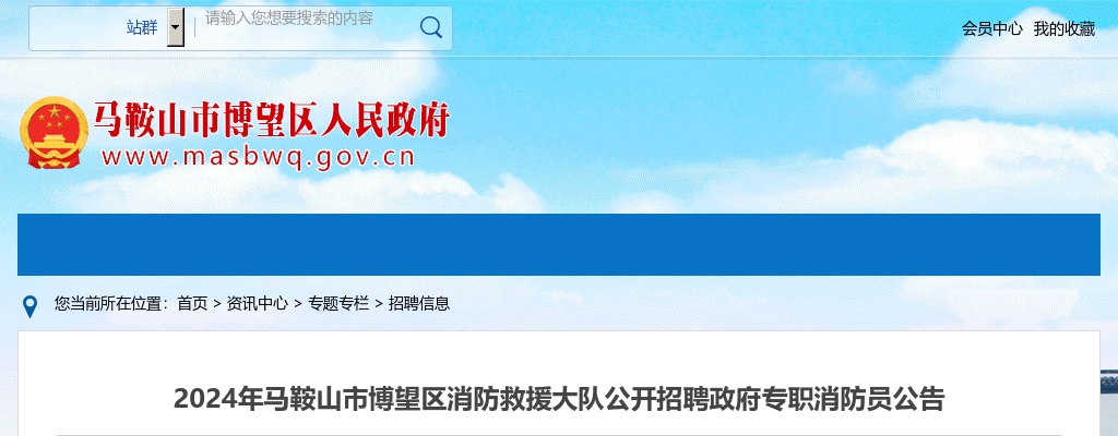 2024年马鞍山市博望区消防救援大队招聘12人公告 图片